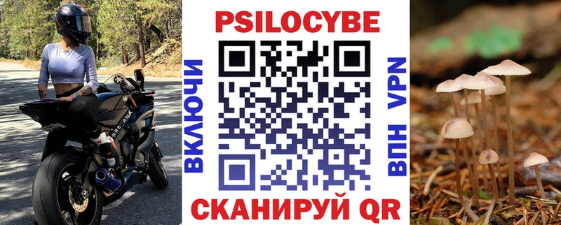Галлюциногенные грибы мицелий  mega ССЫЛКА  Котельнич 